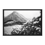 Black and white landscape with hydrangeas stretched canvas prints