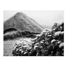 Black and white landscape with hydrangeas post card