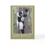 Black and White Lemur Happy Birthday Greeting Cards