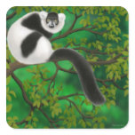 Black and White Lemur stickers