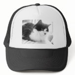 Black and White Long-haired Kitty Cat Mesh Hat