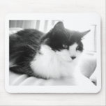 Black and White Long-haired Kitty Cat Mouse Pads