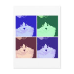 Black and White Longhaired Cat Post Card