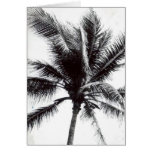 Black and White Palm Tree Card