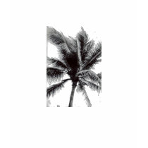 Black and White Palm T Shirt
