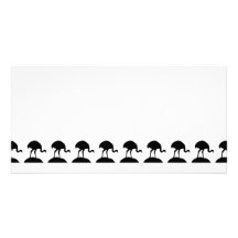 Black and White Pattern of Rhea Birds. Photo Card Template
