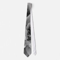 Black and White Petal Abstract