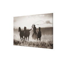 Black and White photo of a Cowboy Lassoing Horses Stretched Canvas Print