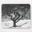 Black and White Photo: Tree in Bronx NY mousepads