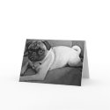 Black and White Pug cards