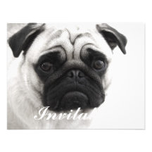 Black and White Pug Custom Announcements