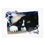 Black and White resigned cat santa hat blue tinsel Personalized Invitations