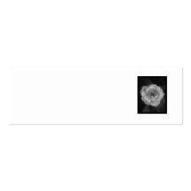 Black and White Rose. Business Cards