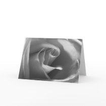Black-and-White-Rose Greeting Cards
