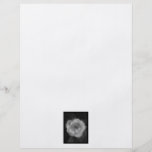 Black and White Rose. Flyer Design