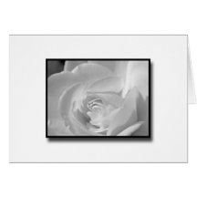 Black and White Rose Greeting Cards