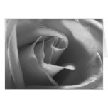 Black-and-White-Rose Greeting Cards