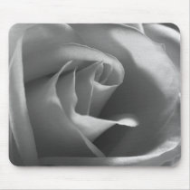 Black-and-White-Rose