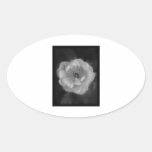 Black and White Rose. Oval Stickers