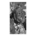 Black-and-White Rose Photocard Photo Card Template