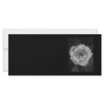 Black and White Rose. Rack Card
