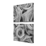 Black and White Roses Photo Gallery Wrapped Canvas