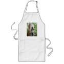 Black and white ruffed lemur is hungry aprons