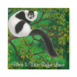 Black and White Ruffed Lemur Magnet