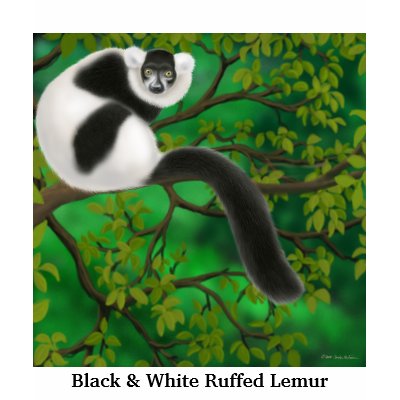 Black and White Ruffed Lemur V-Neck T Shirts by twopurringcats