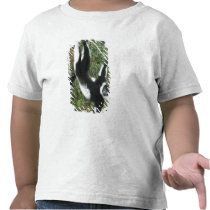 Black and White Ruffed Lemur, (Varecia Shirts