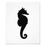 Black and White Seahorse Photo