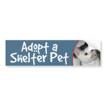 Black and White Shorthair Cat Bumper Sticker/Decal