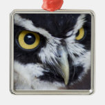 Black and White Specacled Owl Christmas Ornament