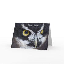 Black and White Specacled Owl Easter Cards
