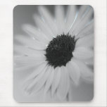 black and white sunflower mousepads