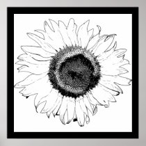 Black and White Sunflower Posters
