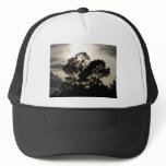 Black and white surreal photograph of pine trees hats