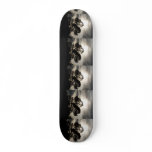 Black and white surreal photograph of pine trees skateboards