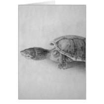 Black and White Turtle Greeting Cards