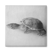 Black and White Turtle Fridge Magnets