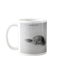Black and White Turtle Coffee Mugs