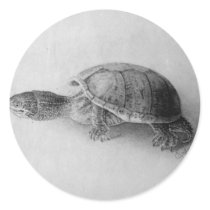 Black and White Turtle Round Stickers