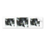 Black and White Tuxedo Cat Bumper Sticker