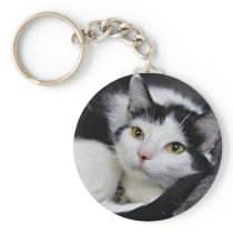 Black and White/Tuxedo Medium Hair Cat Keychain