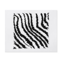 Black and White Zebra Print Pattern. Flyer
