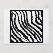 Black and White Zebra Print Pattern. Full Color Flyer