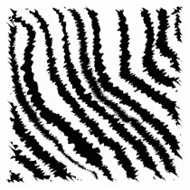 Black and White Zebra Print Pattern. Photo Cut Outs