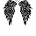 Black Angel Wings Tee Shirt