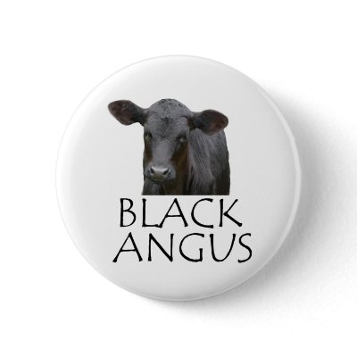 Black Angus Cow Button by RedneckHillbillies