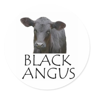 Black Angus Cow Sticker by RedneckHillbillies